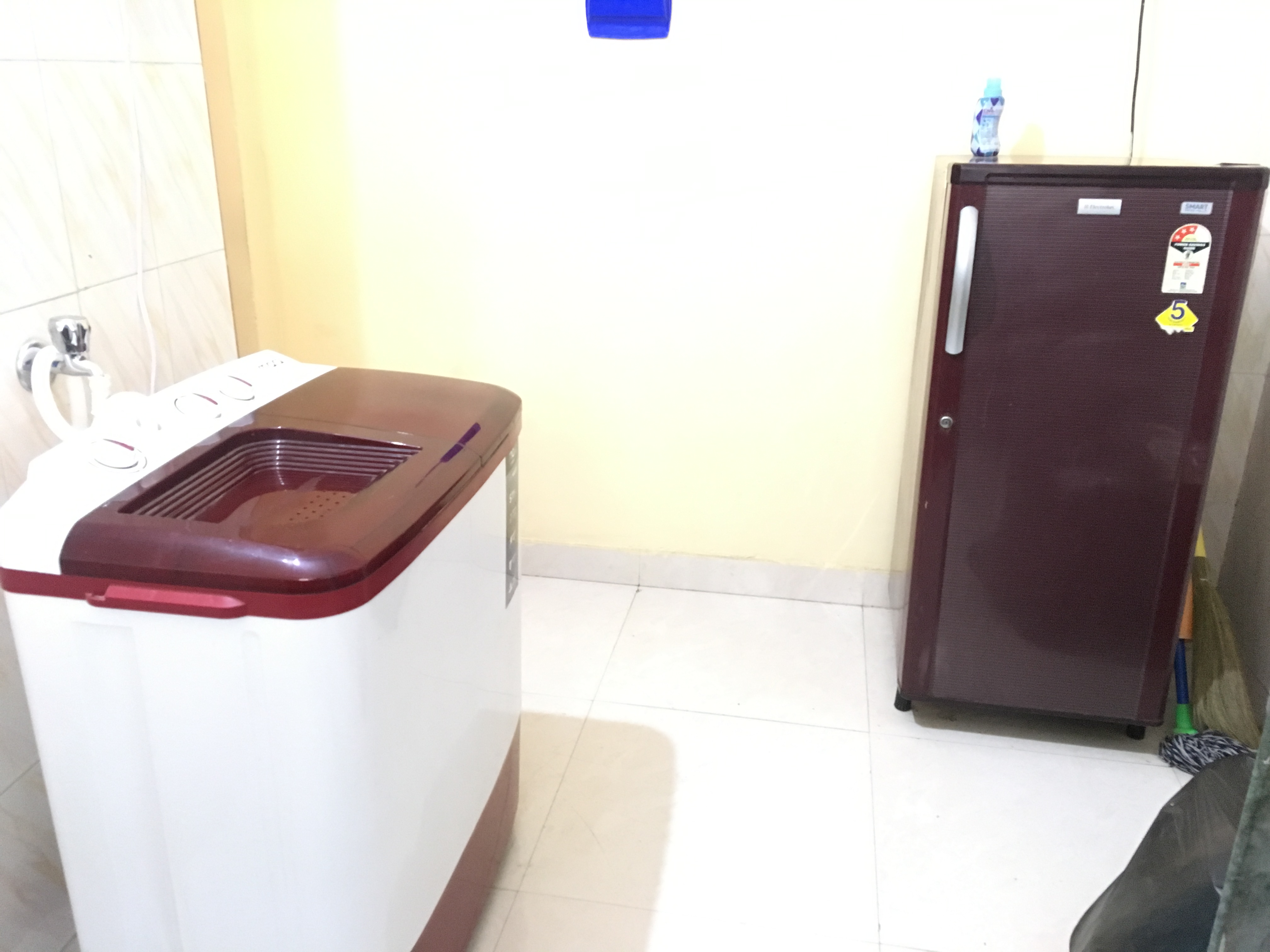 Washing Machine and Fridge Amenities